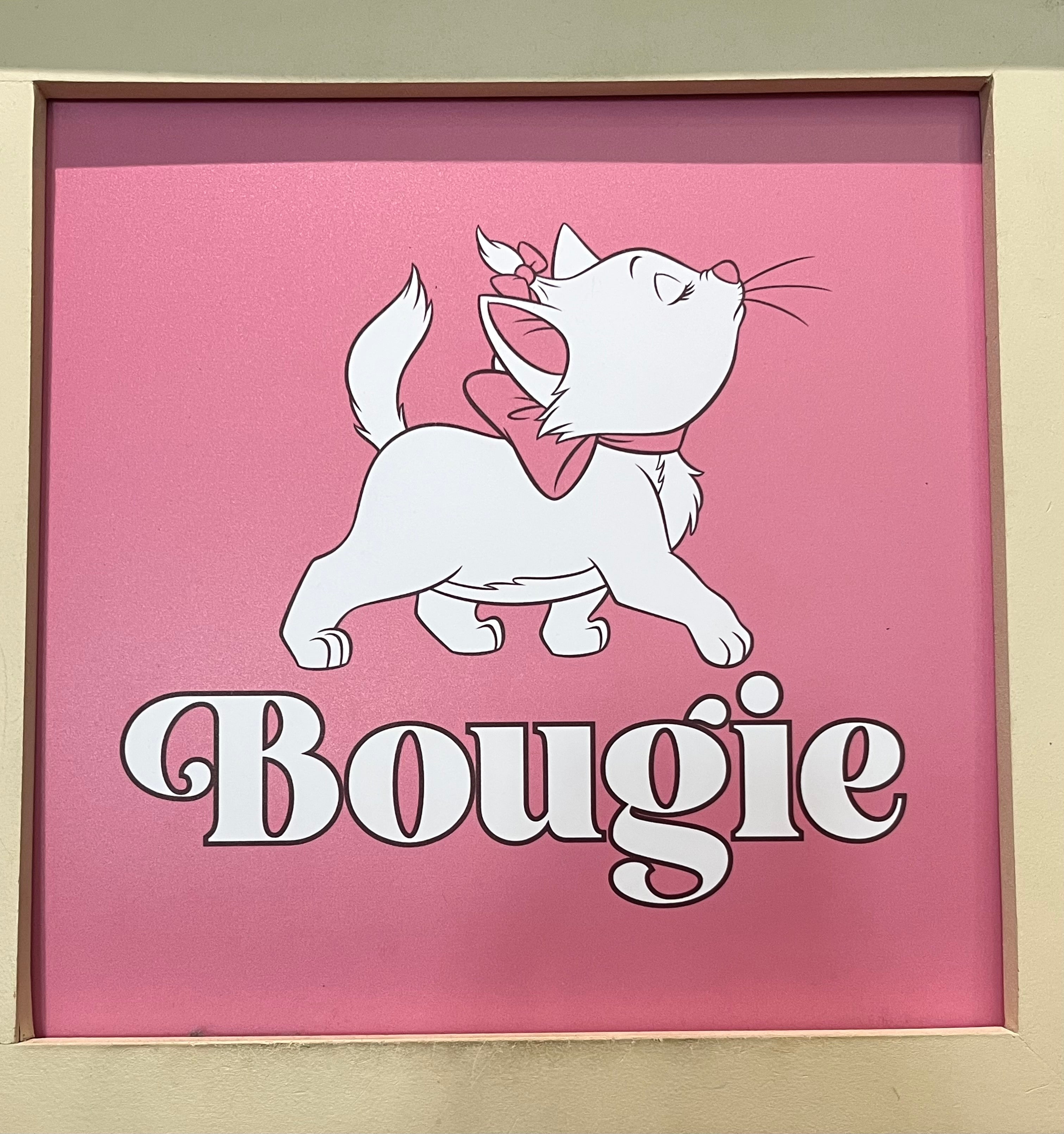 Bougie Adult T-Shirt