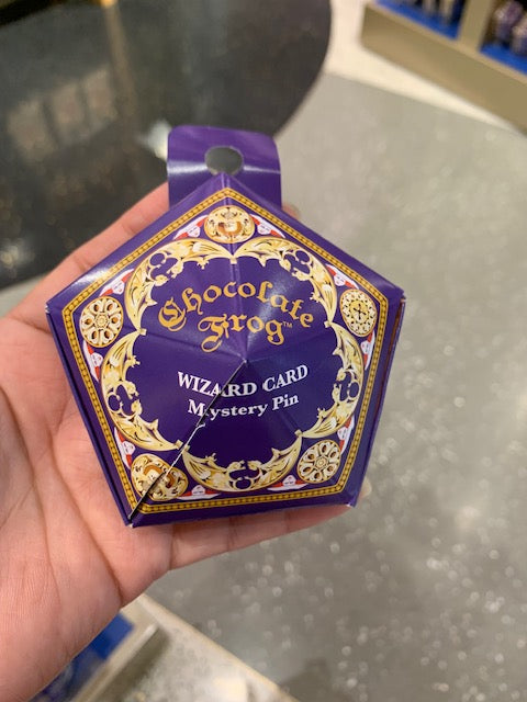 Chocolate Frog Wizard Card Mystery Pin