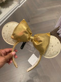 Cinderella Castle Ears