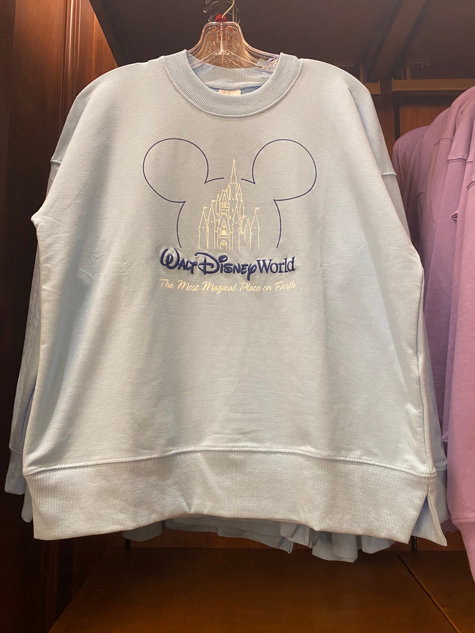 The Most Magical Place on Earth Sweater - Blue
