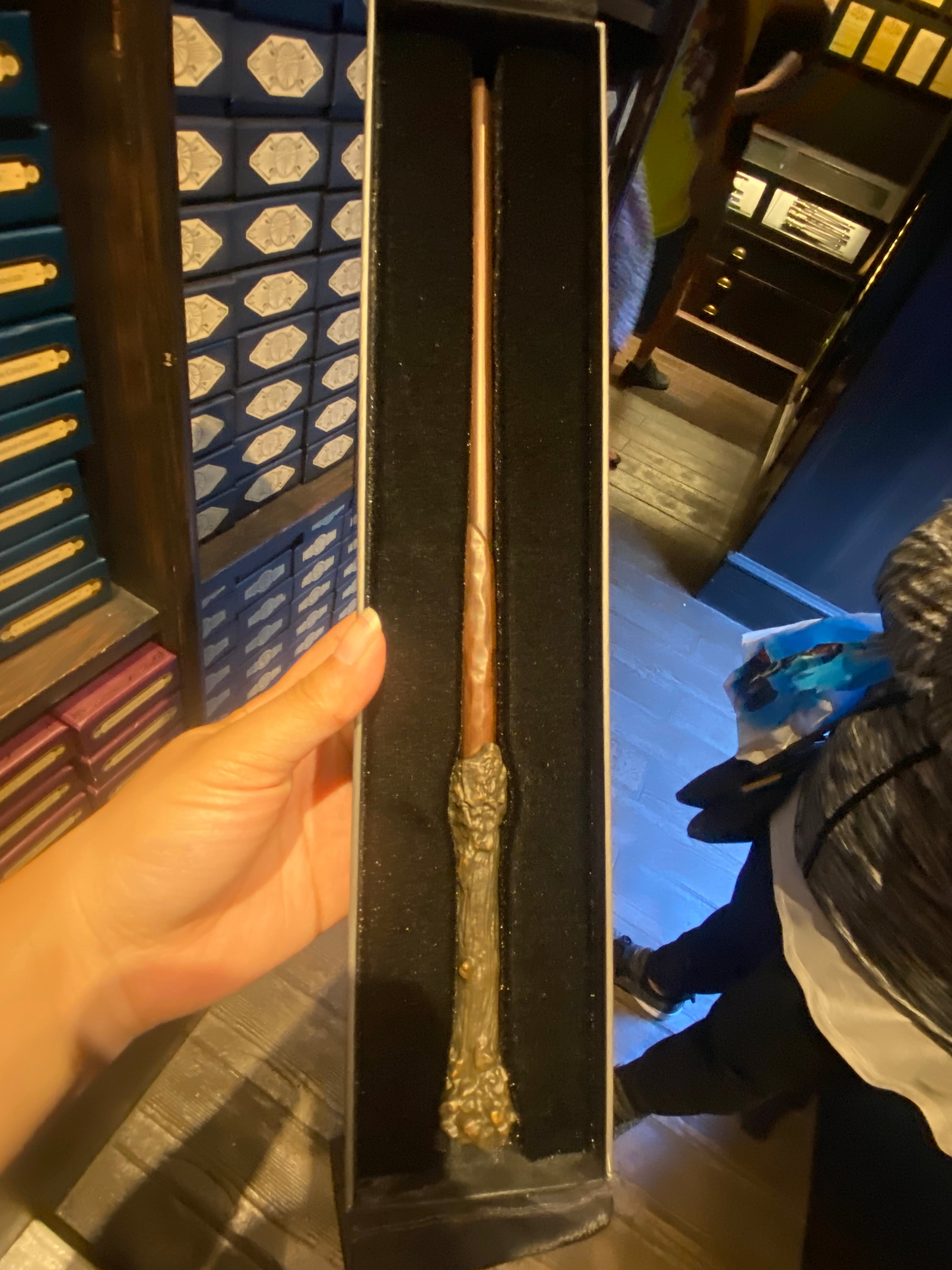 Harry Potter's Wand