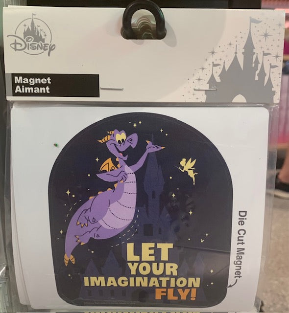 Let Your Imagination Fly Magnet