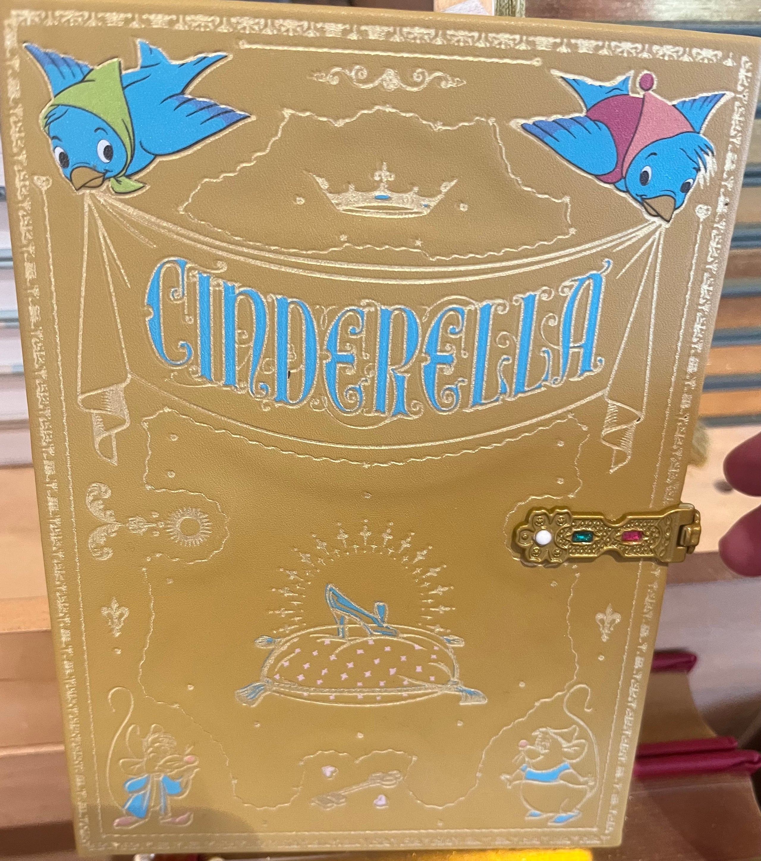 Cinderella Journal