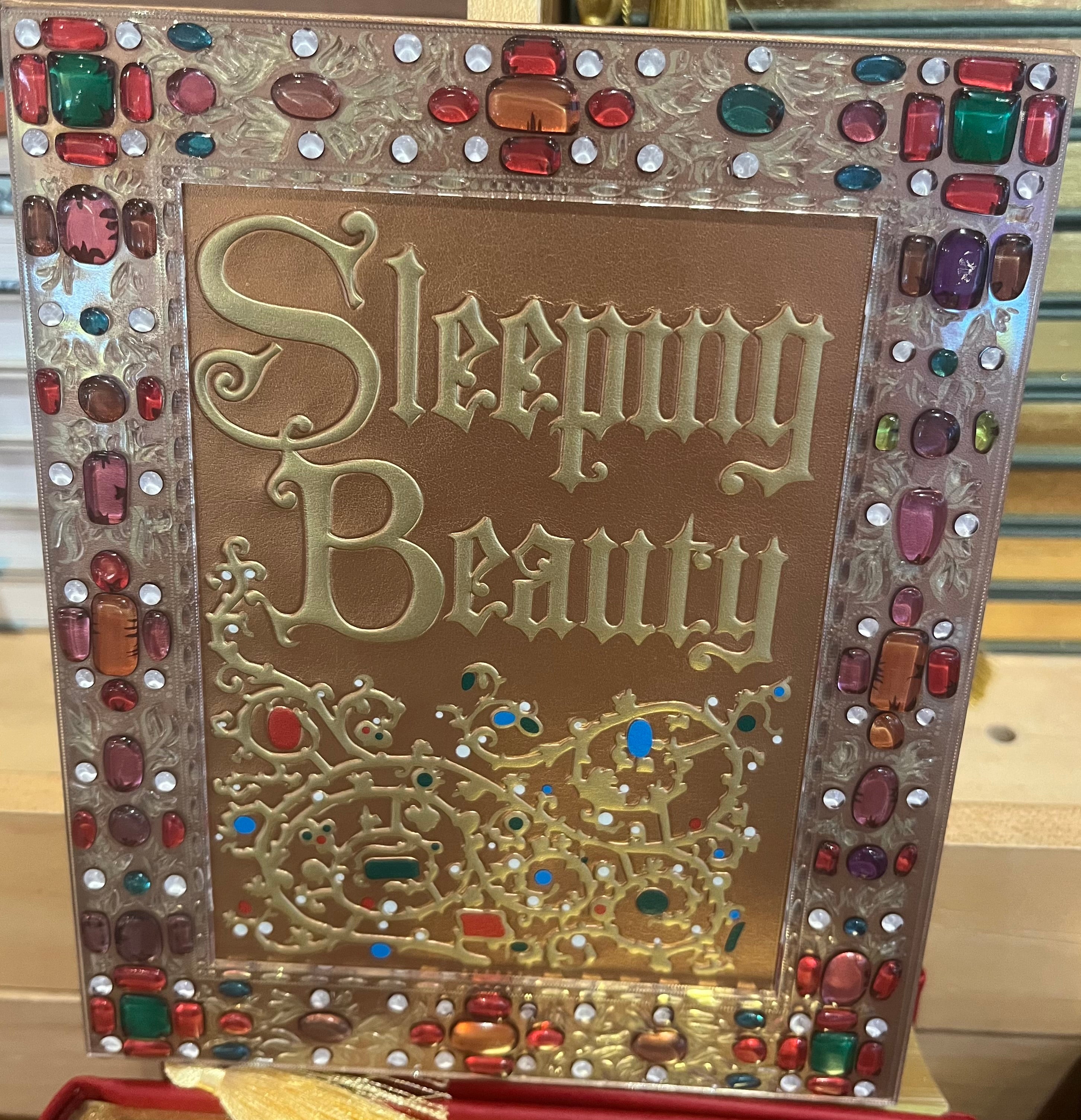 Sleeping Beauty Journal