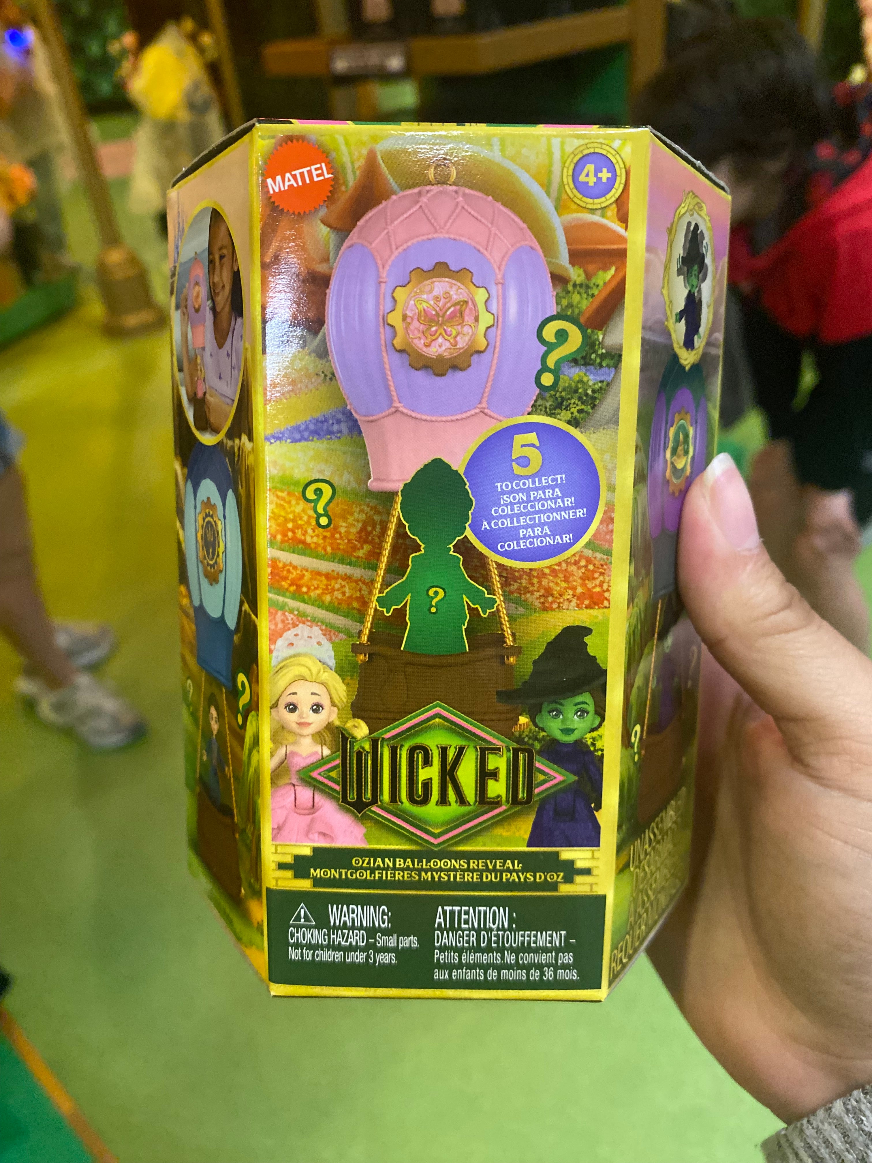 Wicked Mystery Box