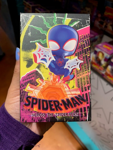 Mystery Spider-Man Across the Spider Verse