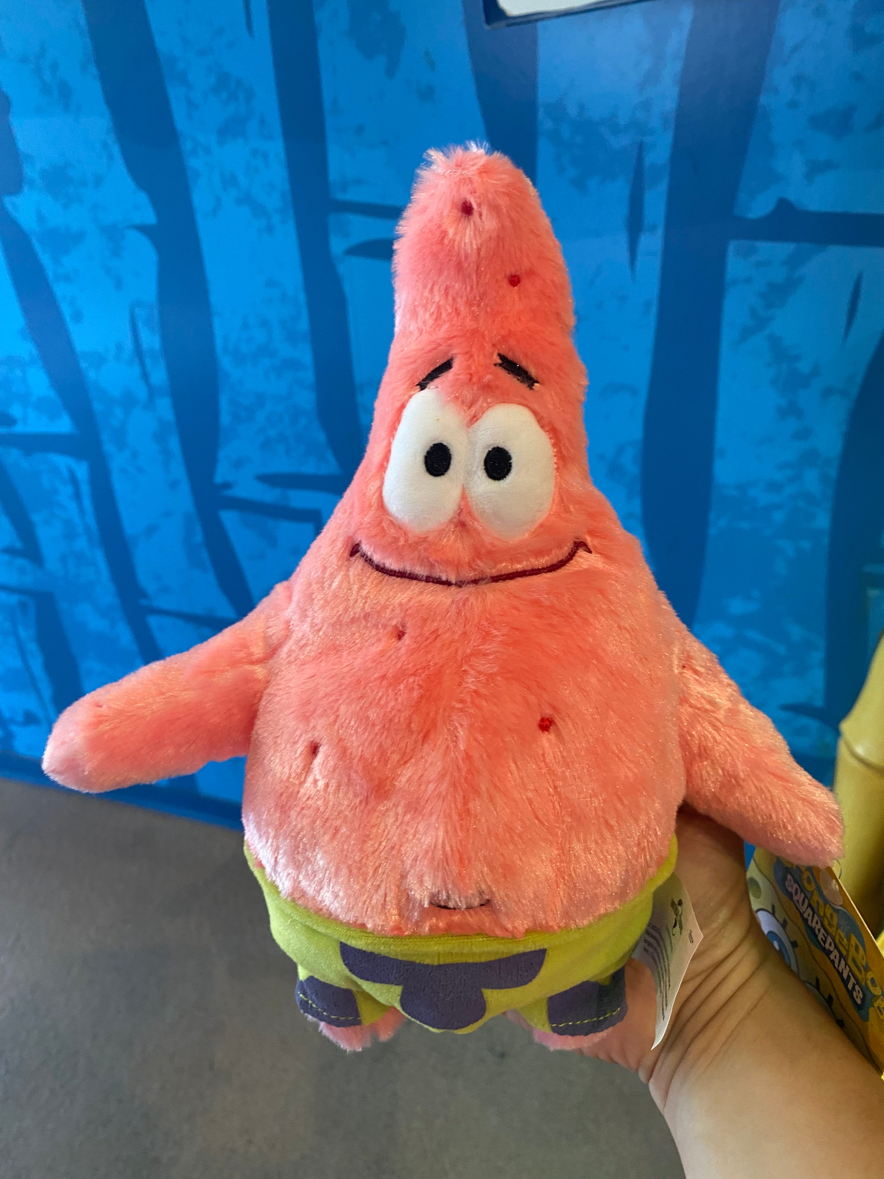 Small Patrick Plush