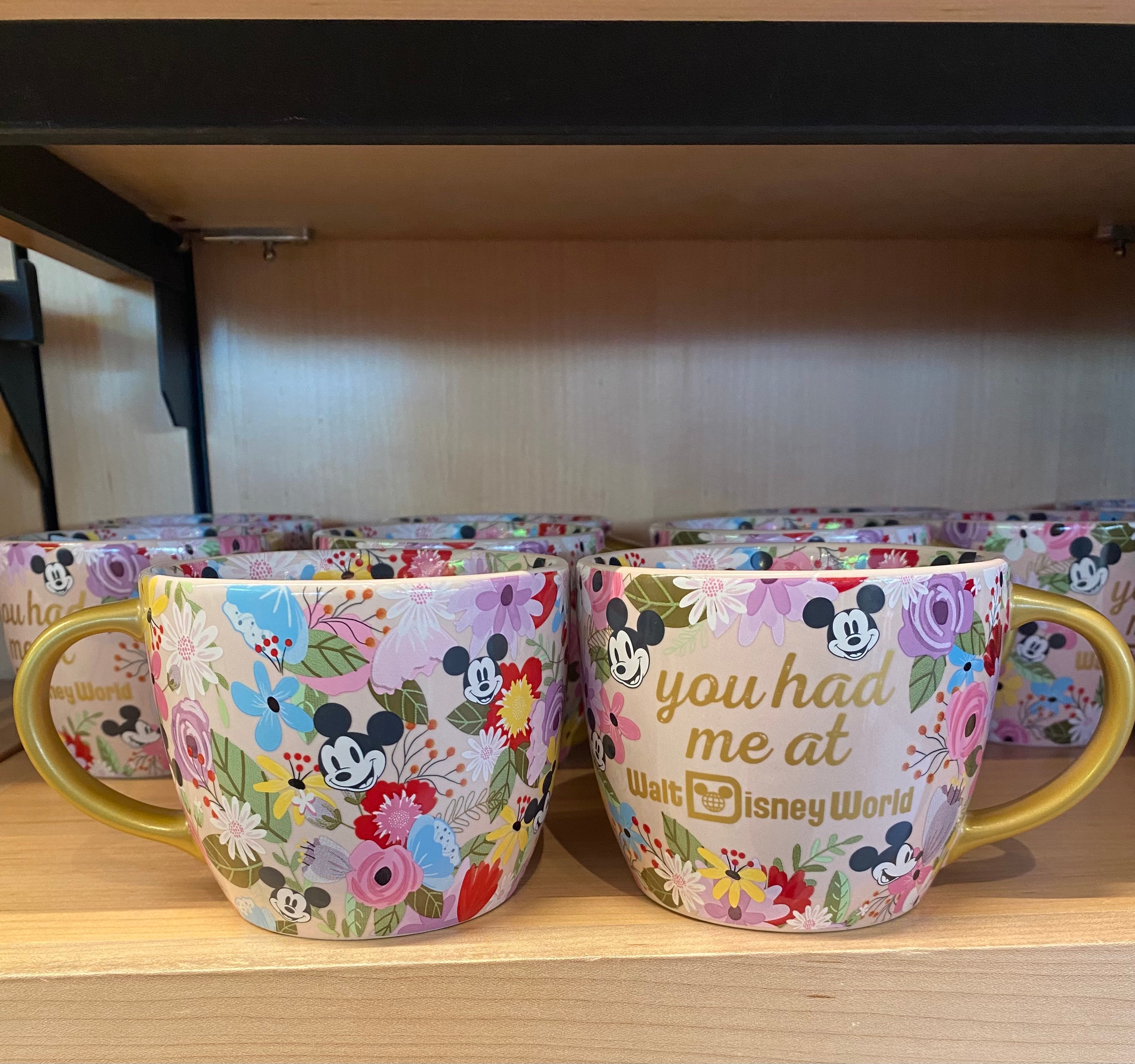 You Had Me at WDW Mug